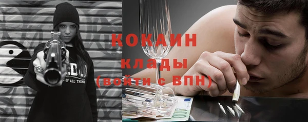 2c-b Горняк
