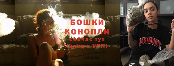 PSILOCYBIN Вязьма