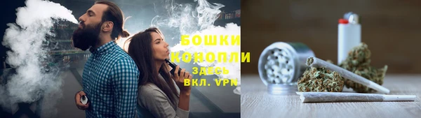 2c-b Горняк