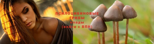 скорость Горно-Алтайск