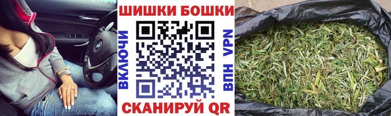 Купить закладки  Олонец  МАРИХУАНА гибрид 